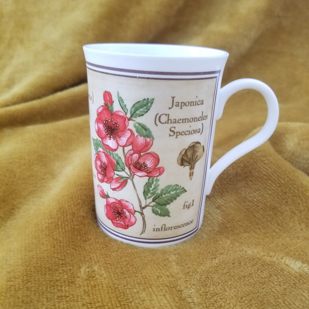 Poppy Mug